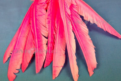 Декоративный Пучок из перьев, перо 25см/розовый - купить в Рязани. Цена: 14.40 руб.