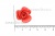 Украшение "Розы малые №1" 20мм - купить в Рязани. Цена: 32.49 руб.