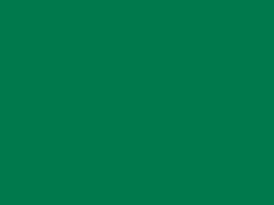 85 см № 258 яр. зеленый спираль (G) сорт-2 - купить в Рязани. Цена: 16.97 руб.