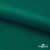 Ткань подкладочная Таффета, 19-5420, 53 г/м2, антистатик, шир. 150 см, вечнозеленый - купить в Рязани. Цена 57.16 руб.