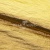 Текстильный материал "Диско"#1805 с покрытием РЕТ, 40гр/м2, 100% полиэстер, цв.5-золото - купить в Рязани. Цена 412.36 руб.