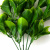 Трава искусственная -1, шт (эвкалипт лист 32 см/8 см)				 - купить в Рязани. Цена: 169.93 руб.