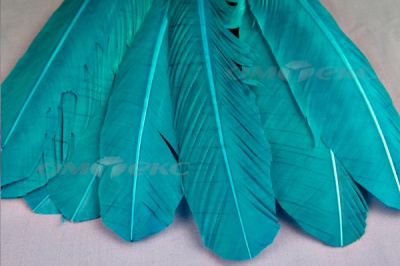 Декоративный Пучок из перьев, перо 24см/голубой - купить в Рязани. Цена: 12.19 руб.