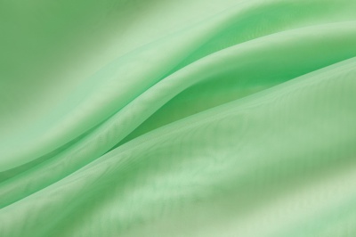 Портьерный капрон 13-6009, 47 гр/м2, шир.300см, цвет св.зелёный - купить в Рязани. Цена 143.68 руб.
