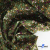 Ткань костюмная «Микровельвет велюровый принт», 220 г/м2, 97% полиэстр, 3% спандекс, ш. 150См Цв  #9 - купить в Рязани. Цена 439.76 руб.