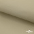 Ткань подкладочная TWILL 230T 14-1108, беж светлый 100% полиэстер,66 г/м2, шир.150 cм - купить в Рязани. Цена 90.59 руб.