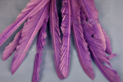Декоративный Пучок из перьев, перо 25см/фиолетовый - купить в Рязани. Цена: 12.19 руб.