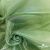 Ткань органза, 100% полиэстр, 28г/м2, шир. 150 см, цв. #27 зеленый - купить в Рязани. Цена 86.24 руб.
