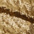 Сетка с пайетками №3, 188 гр/м2, шир.140см, цвет золотой - купить в Рязани. Цена 454.12 руб.
