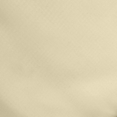 Ткань подкладочная Таффета 14-1014, антист., 54 гр/м2, шир.150см, цвет бежевый - купить в Рязани. Цена 65.53 руб.