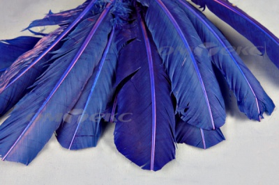 Декоративный Пучок из перьев, перо 23см/синий - купить в Рязани. Цена: 12.34 руб.