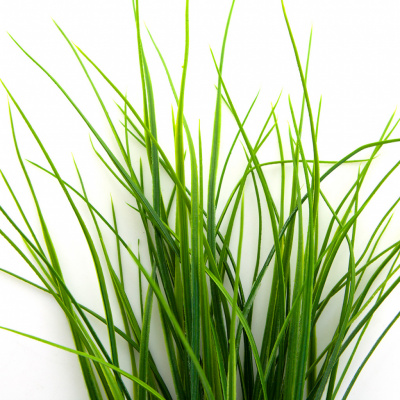 Трава искусственная -3, шт (осока 50 см/8 см  5 листов)				 - купить в Рязани. Цена: 124.17 руб.