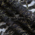 Кружевное полотно XD LACE 1-4, 80 гр/м2, шир.150см, цвет чёрный - купить в Рязани. Цена 245.94 руб.